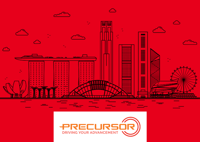 Should You Set Up A Branch Office Or Subsidiary Company In Singapore
