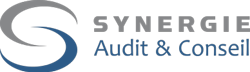 Synergie Audit & Conseil